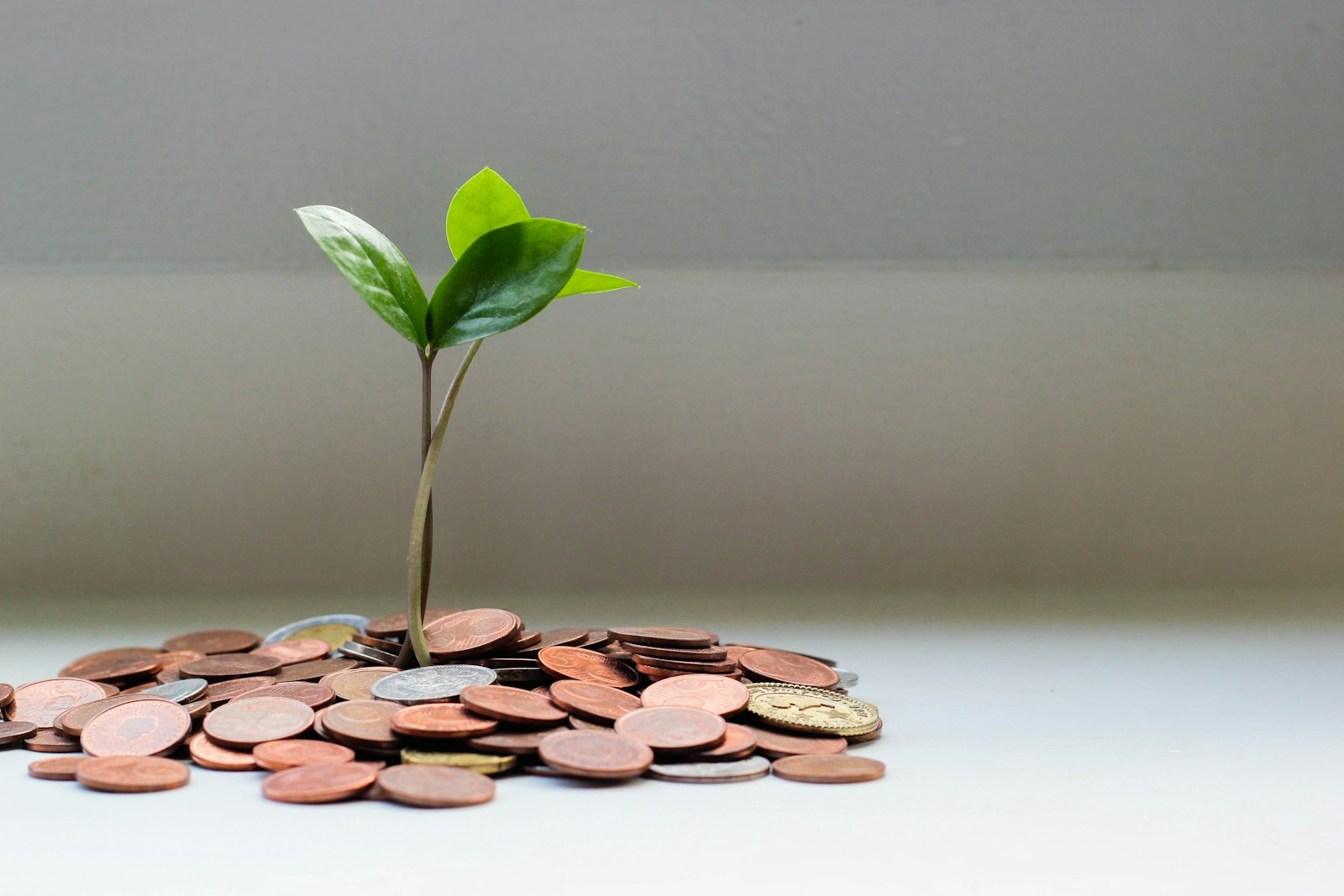 Coins stacked as savings growing over time